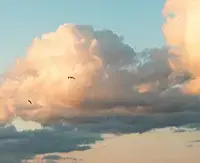 Специальные гости ВодоходЪ
