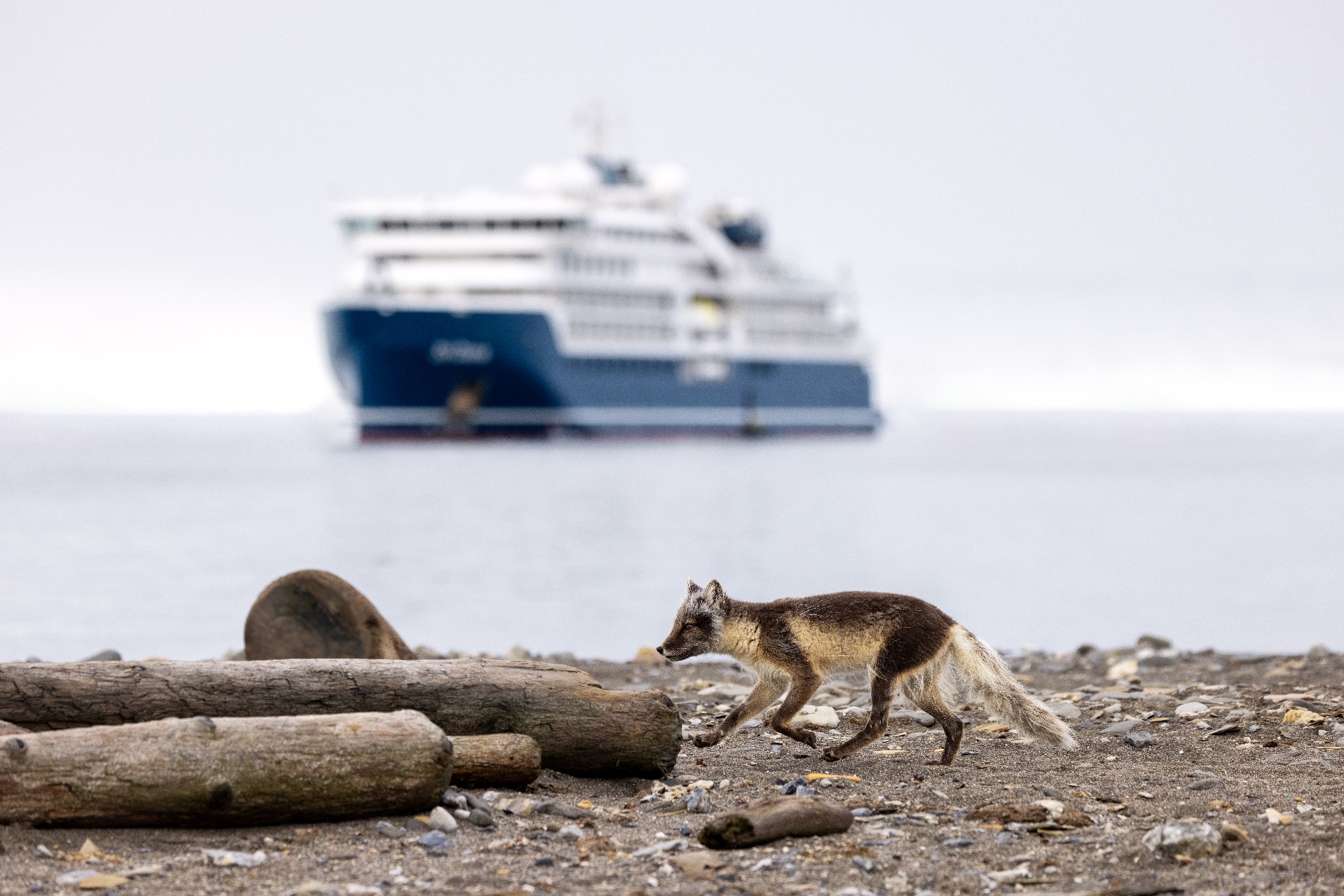 Курильские острова: самое загадочное и захватывающее направление России