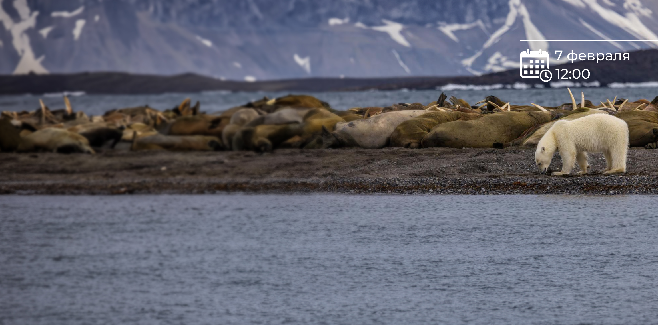 вебинар «Дальний Восток: край земли в экспедиционных круизах с ВодоходЪ» вебинар «Дальний Восток: край земли в экспедиционных круизах с ВодоходЪ»