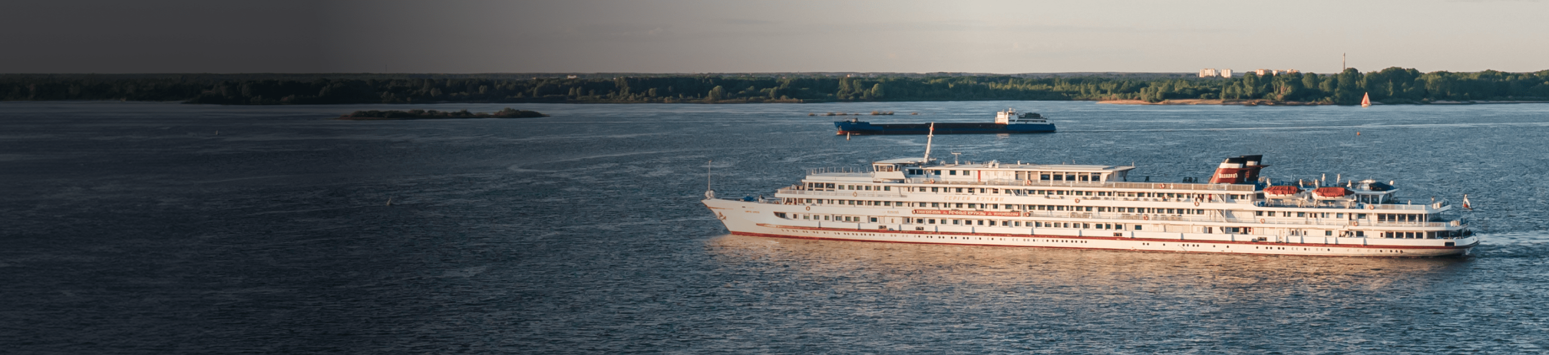 Сергей Кучкин