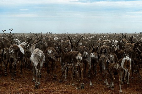 Енисейская экспедиция