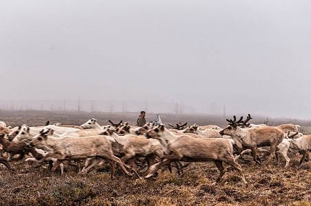 Енисейская экспедиция