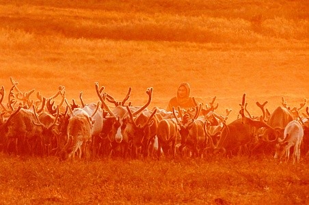 Енисейская экспедиция