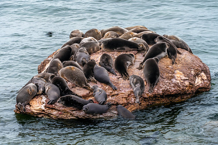 Байкальская экспедиция