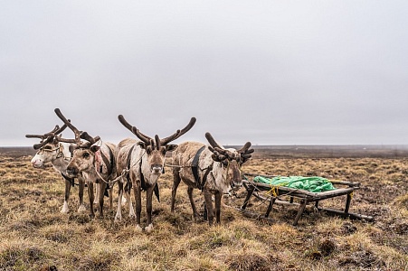 Енисейская экспедиция