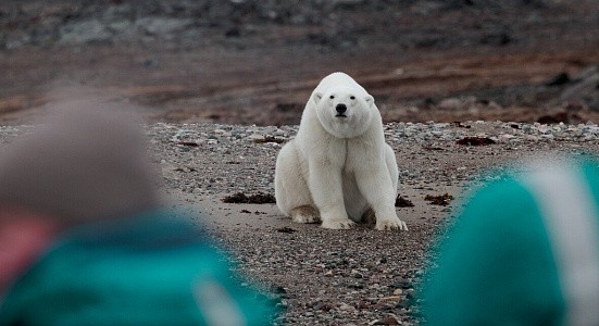 Чукотка и остров Колючин: Земля белых медведей    