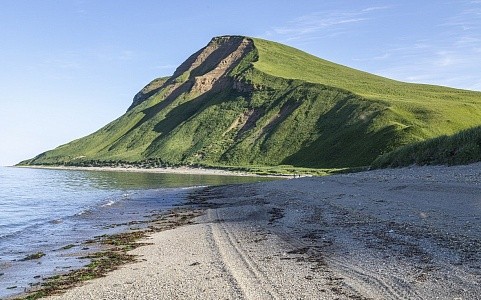 Открытие Командорских островов