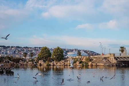 Любимая Турция	