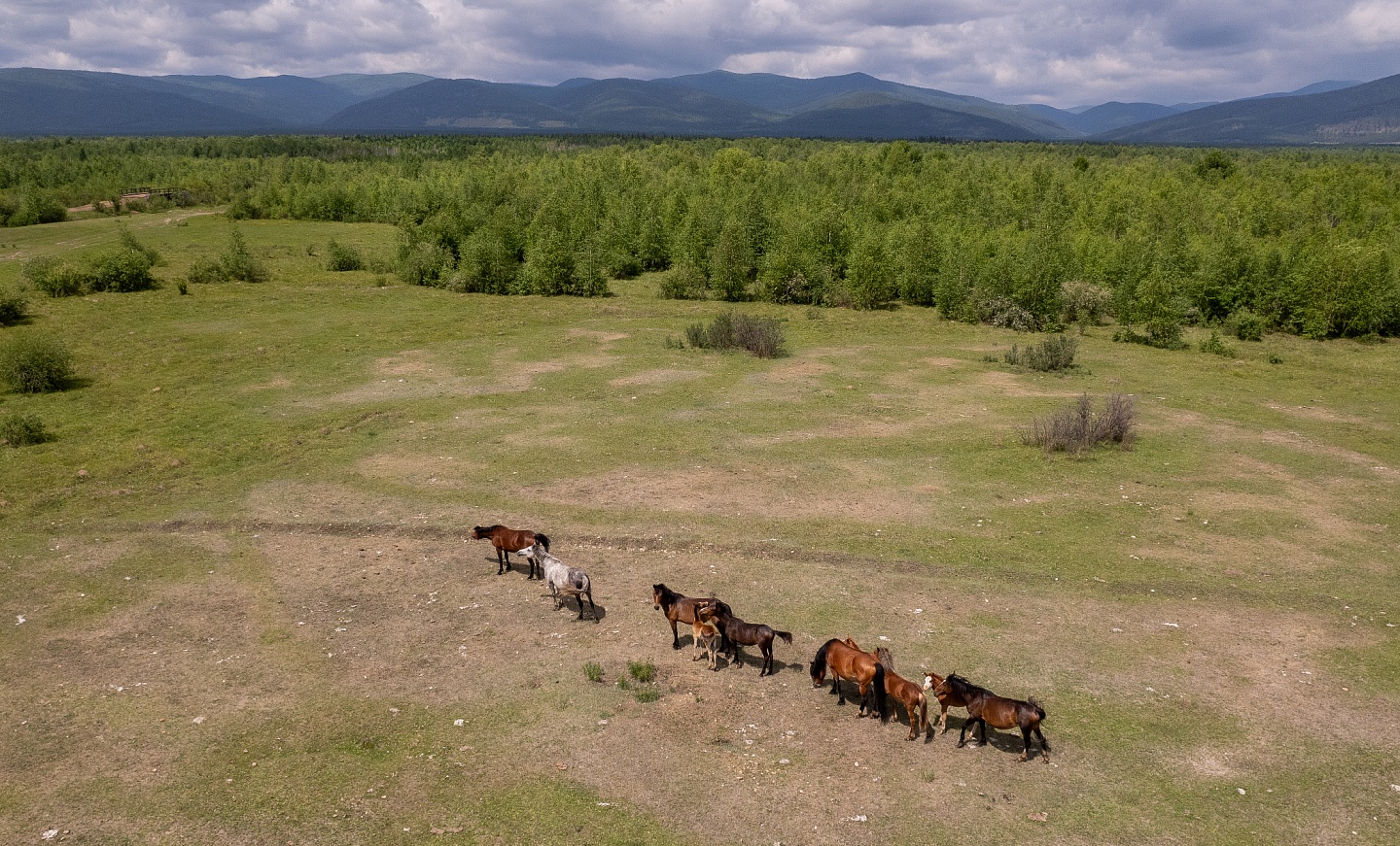 Традиции четырёх народов Прибайкалья