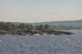 Сценическое плавание