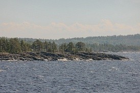 Сценическое плавание