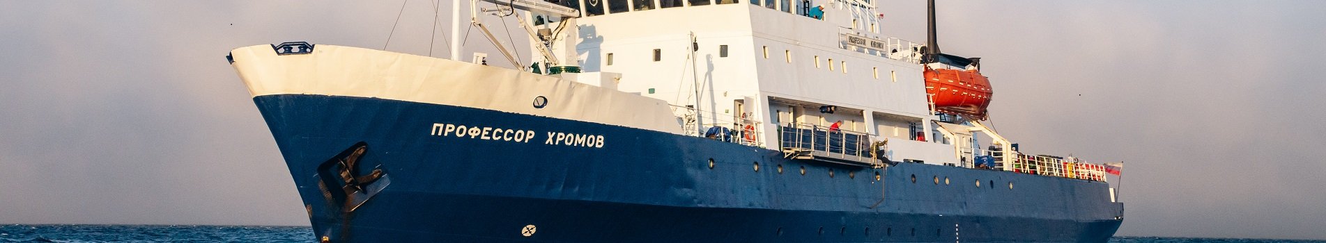 Профессор Хромов