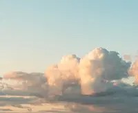 Академия вина с Simple Академия вина с Simple