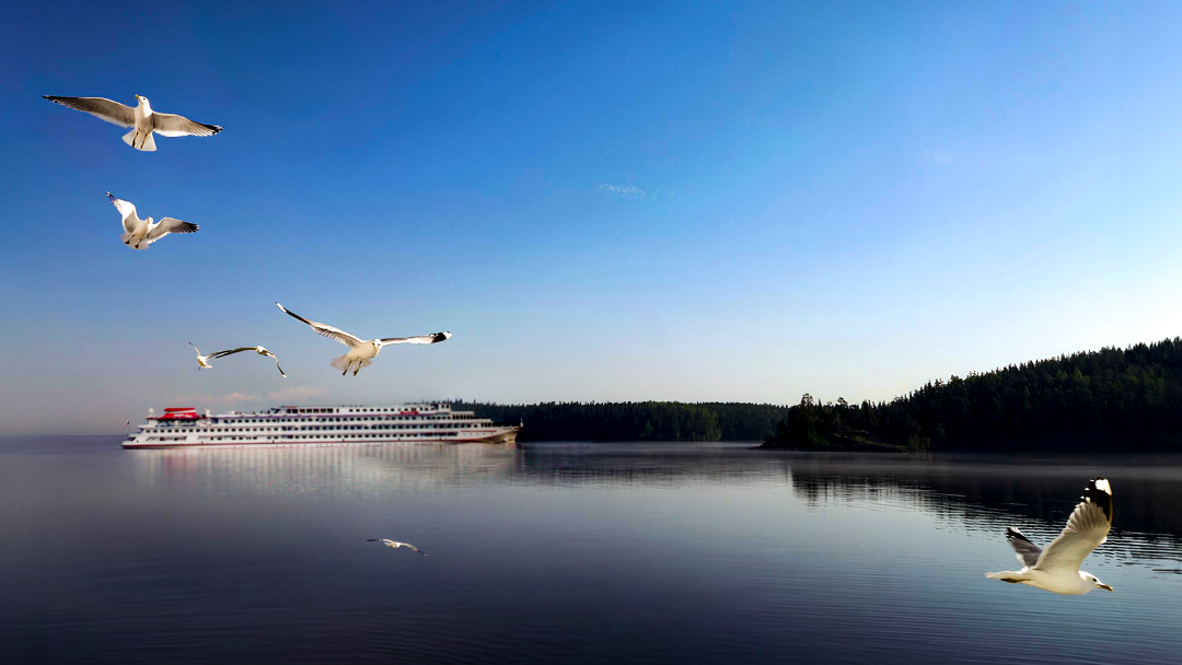 из Тобольска из Тобольска