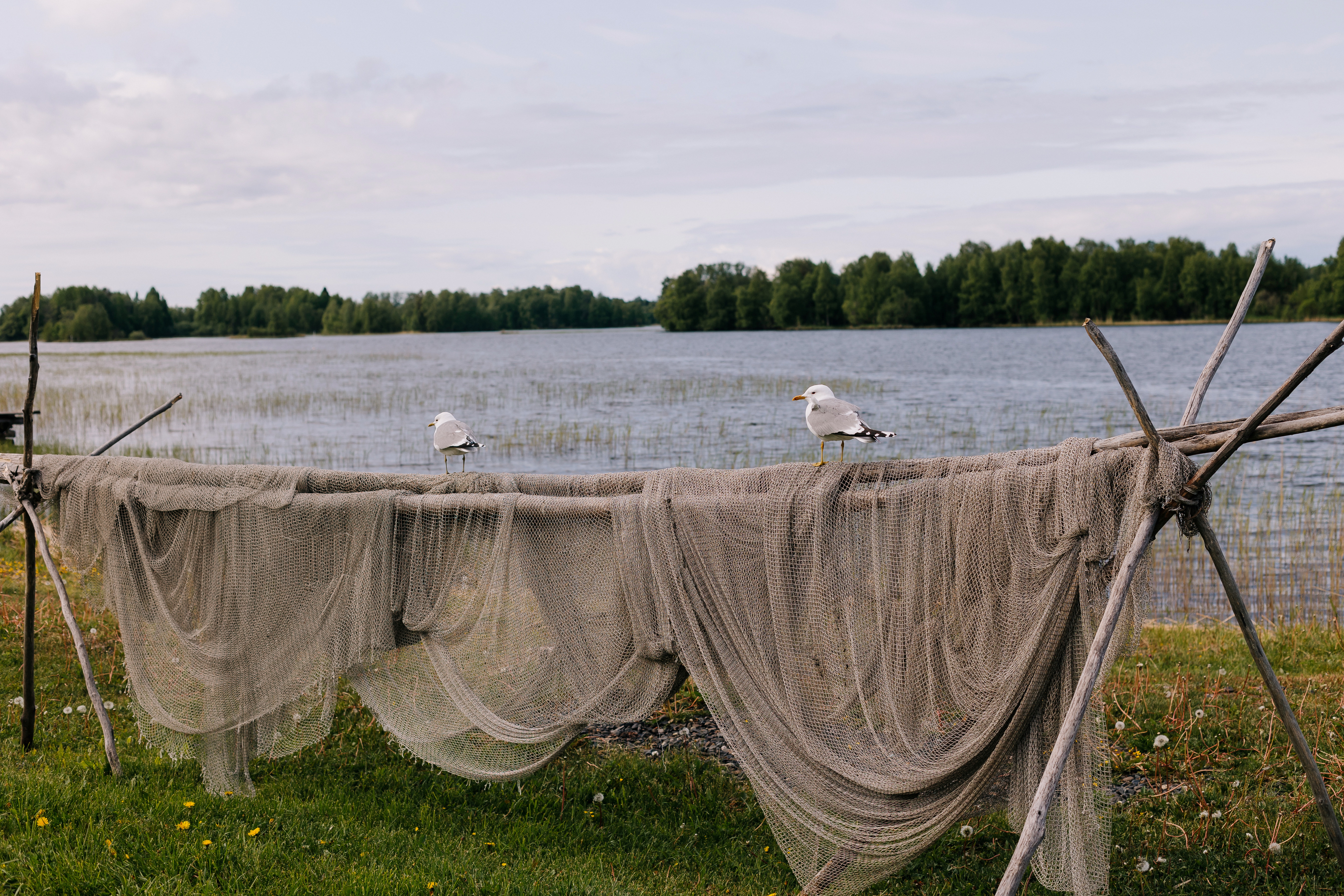 Онежское озеро