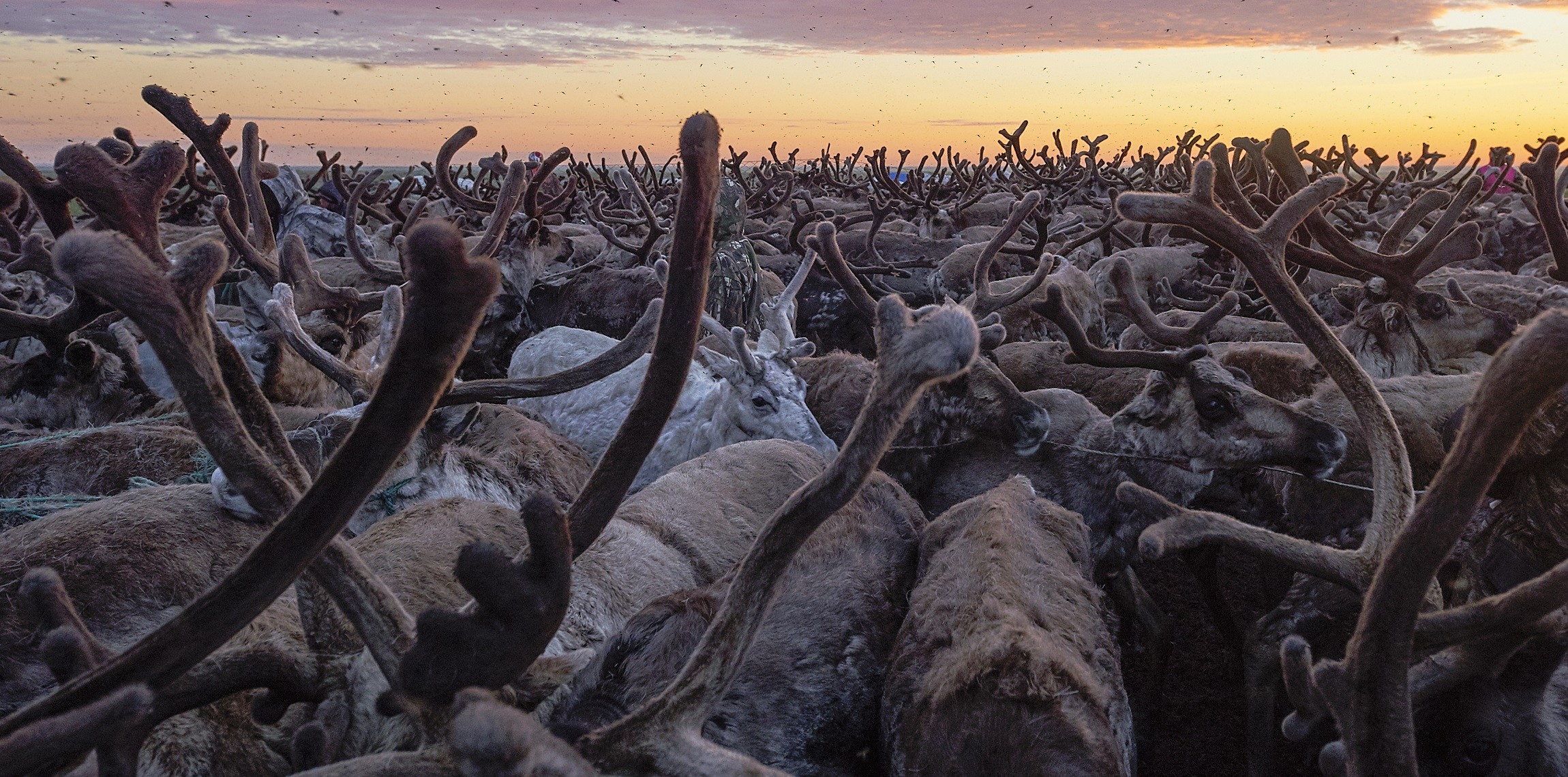 Где можно посмотреть северное сияние в России
