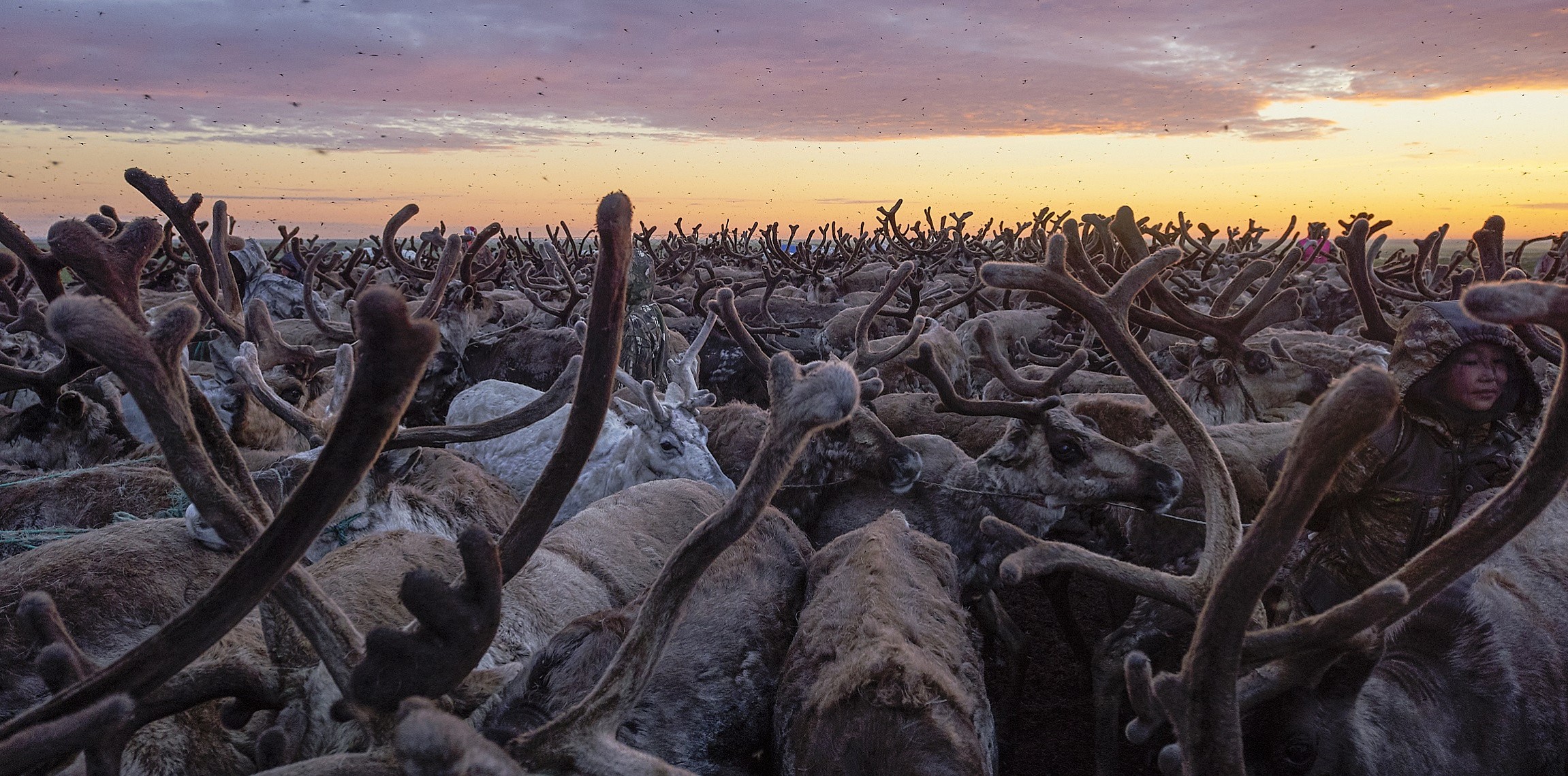 Открываем Енисей Открываем Енисей