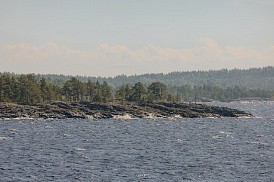 Сценическое плавание